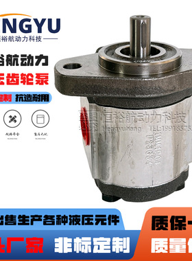HONOR钰盟齿轮液压泵1AG1P02R 2GG1B08R 1GG1P07P 1MMP04齿轮马达