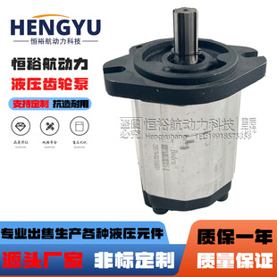 BHP2.5 BAP2.5 液压油泵 博顿油泵Boden齿轮泵BHP2A0D32H2Z13