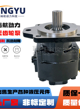 凯斯帕CASAPPA齿轮泵KP50.51D0-06S8液压油泵KP40.121S0 KP30.38