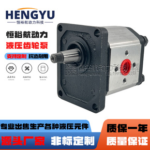 GHP2A 马祖奇MARZOCCHI齿轮泵1PD5.8 GHP3A GHP1A ALP2 0.25D24