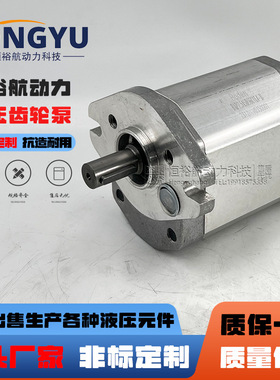 博顿油泵Boden齿轮泵BAP2.5A5D36C1L4-B泵 BHP2.5A1D45液压泵高压