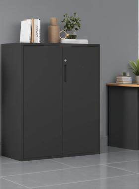 钢制文件柜铁制文件柜桌办公文柜带锁文件柜边7储件物柜高60QMX宽