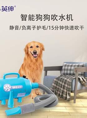【英绅吹水机】热销2400W蓝色款加热无级变速单马达狗狗吹水机