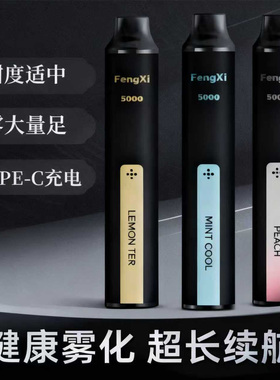 小黑条一次性口腔雾化器口腔喷雾水果味清新口气可充电喷雾