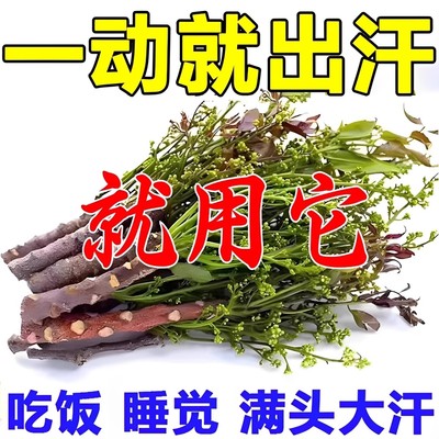 一动就出汗吃饭满头大汗睡觉爱出汗走路出汗调理晚上自汗本草HH