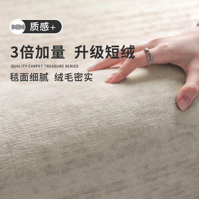 地毯客厅2025新款简约现代轻奢高级感沙发奶油风免洗可擦卧室地垫