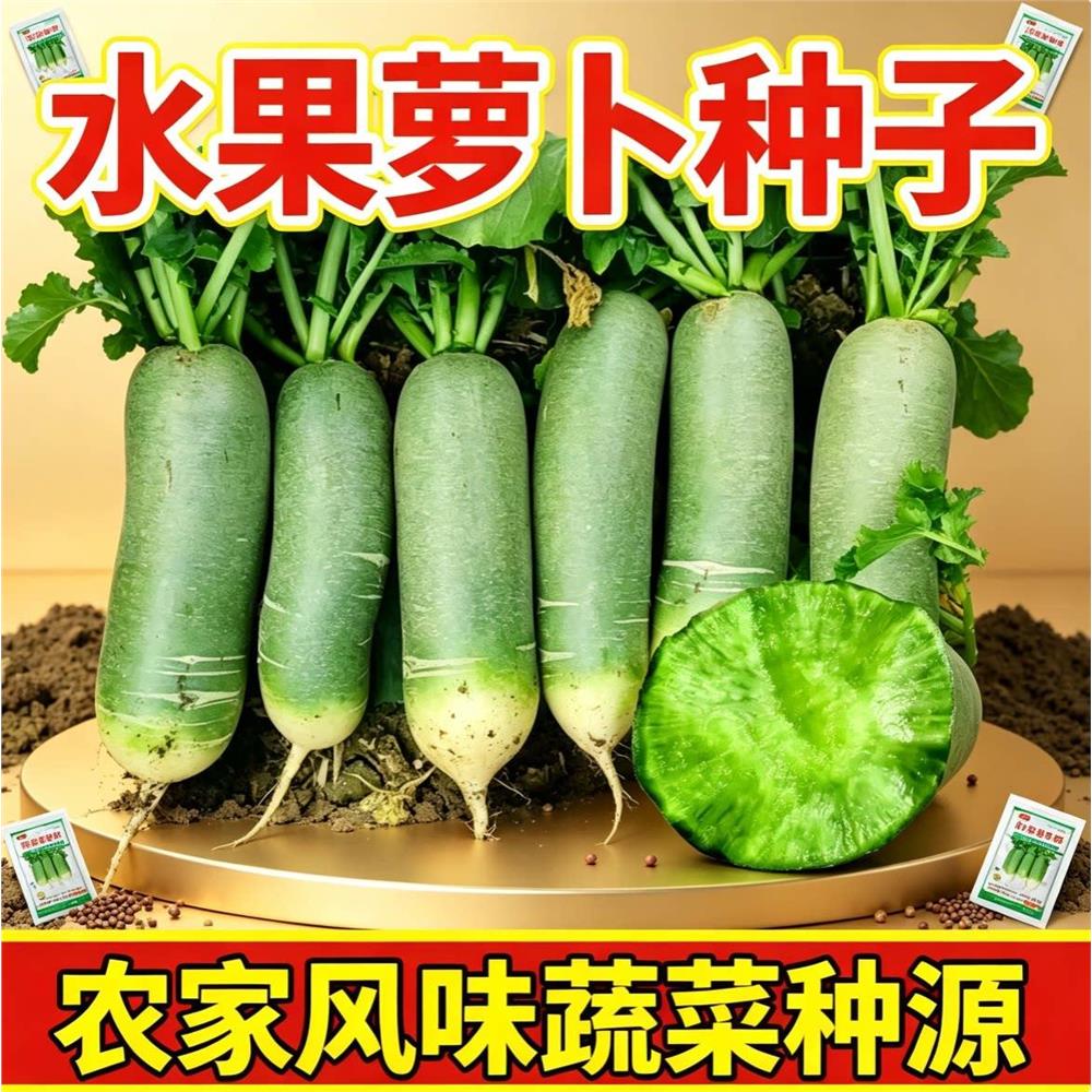 冰糖脆里外青水果萝卜种图片