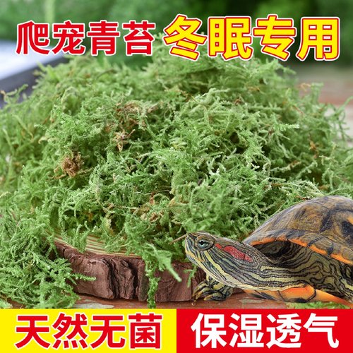 乌龟冬眠干苔藓爬宠专用苔藓冬眠的窝青苔智利水苔椰土椰砖专用土