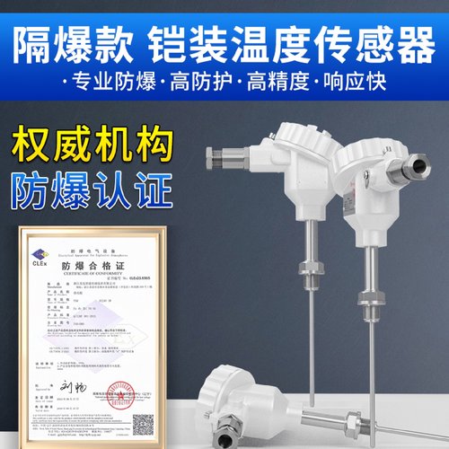 联测隔爆铠装热电阻变送器TSR耐高温高压感温探头Pt100温度传感器