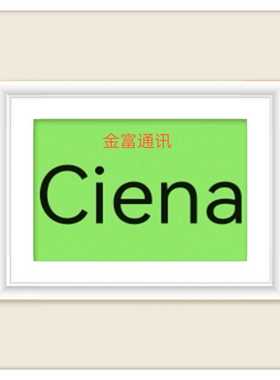 议价！Ciena光纤模块