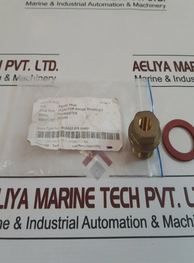 Frymaster123205plugforanodew/gasket