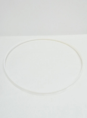 FisherV111632X032Tefzel密封环