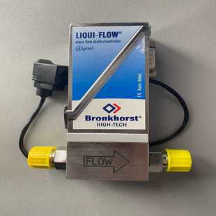 流量计 L23 PGD Bronkhorst 议价