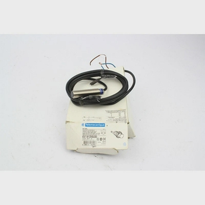 TelemecaniqueXS1M12MB250XS1M12MB250091545(B429)