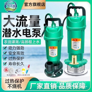 家用潜水泵220V高扬程农用抽水机清水污水泵小型灌溉泵抽水泵水井
