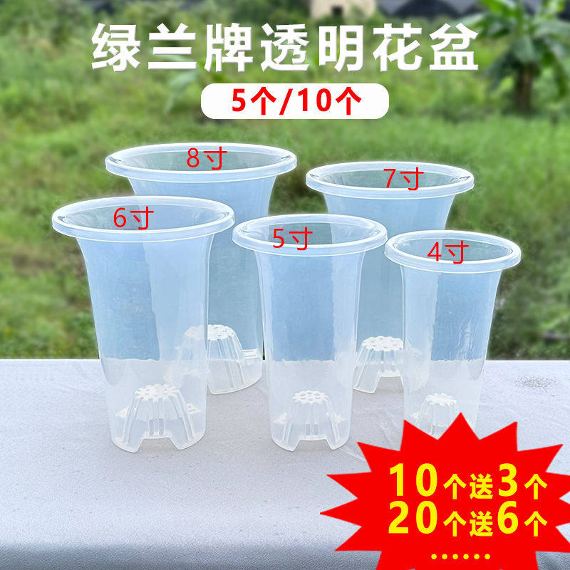 5/10个绿兰加厚透明塑料花盆蝴蝶兰石斛文心多肉专用盆透气控