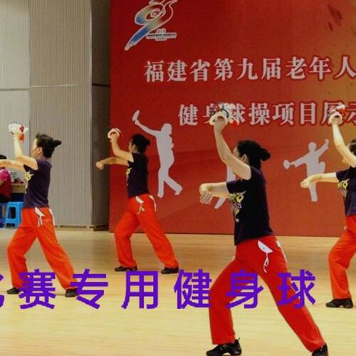 中老年人健身球泰迪无极比赛专用健身球敲背球甩背球民间运动