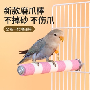 Stick Scrub Cage Beak Standing Bird Claw Pole Parrot Station