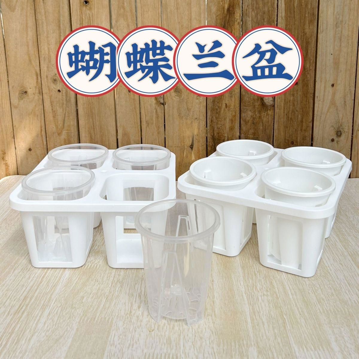 2.8寸蝴蝶兰盆托架四格花盆托盘蝴蝶兰盆组合整理托盘透明控