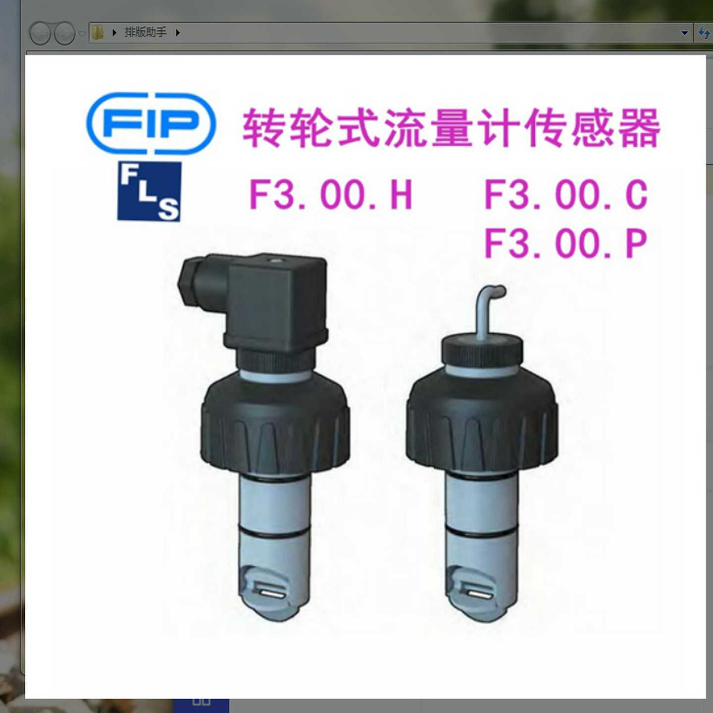 FIP叶轮流量计探头DN2 F3..H.4 原装现货不含表头不含安