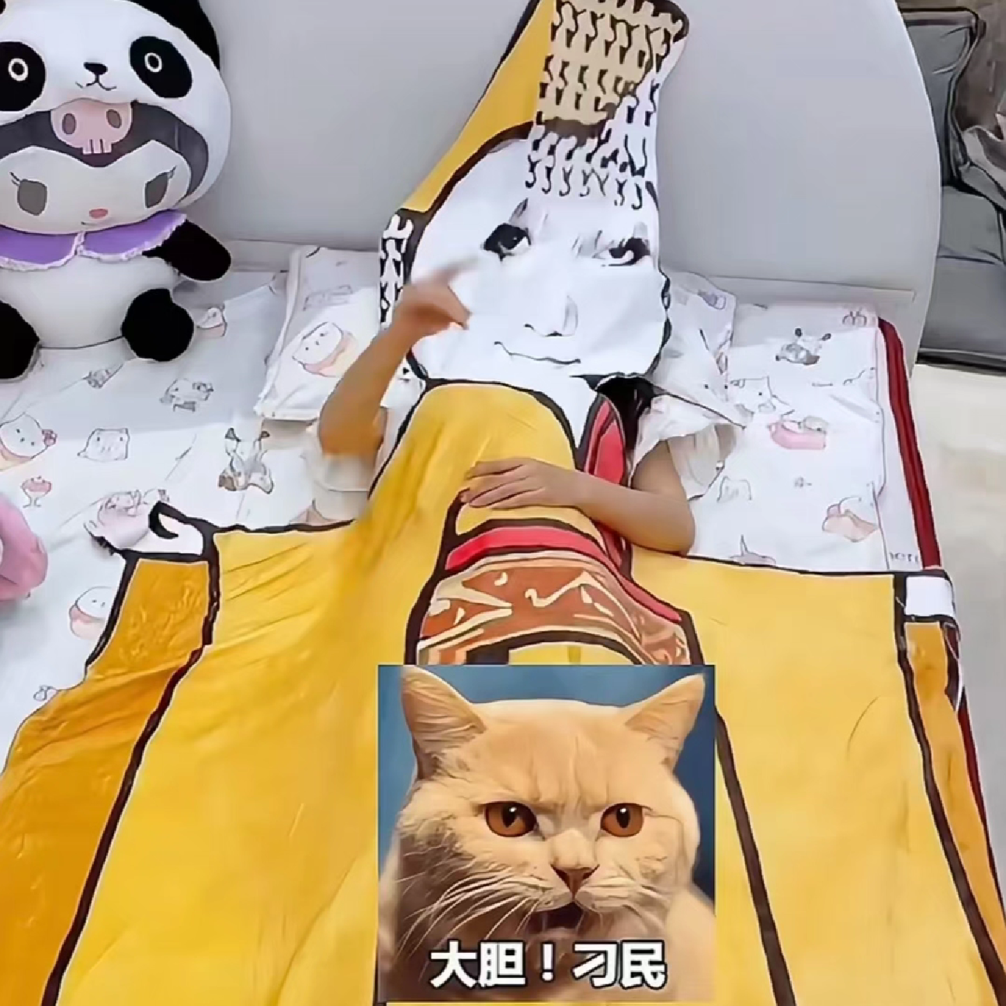 见朕为何不跪毛毯搞怪创意搞笑整蛊朋友法兰绒睡毯抽象网红睡袍