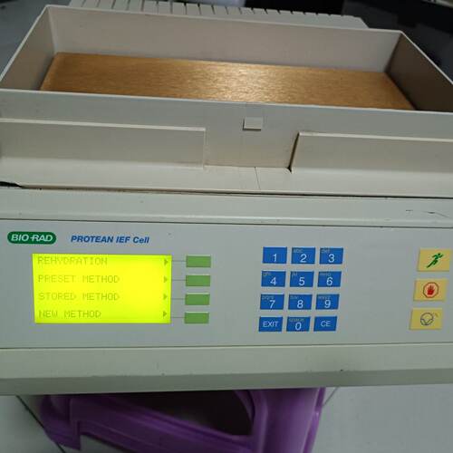 伯乐 protean IEF Cell等电聚焦电泳仪成色—议价