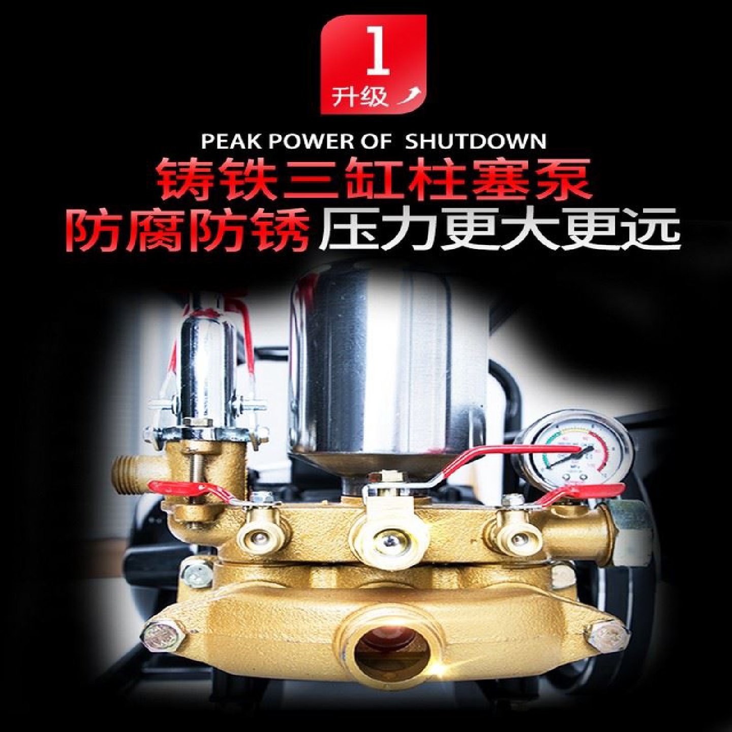 卷管一体汽油打药机手提四冲程高压农用果树园林喷雾器农药喷洒,鲜花速递/花卉仿真/绿植园艺,喷壶,淘宝优惠券,粉丝福利购,淘宝优惠卷