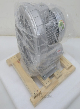 DONGBURingBlowerNNBDBEM-101-RMOT-I-3848P26