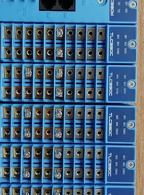 议价SAMWONTECH 温控模块TLC990M-83、询价