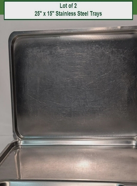Lotof2StainlessSteelInstrumentTrays,25