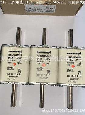 250300 200803 熔断器 300、2、、500、线缆保护用