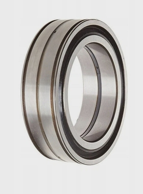 INASL045007-PPCylindricalRollerBearing-HighPrecision