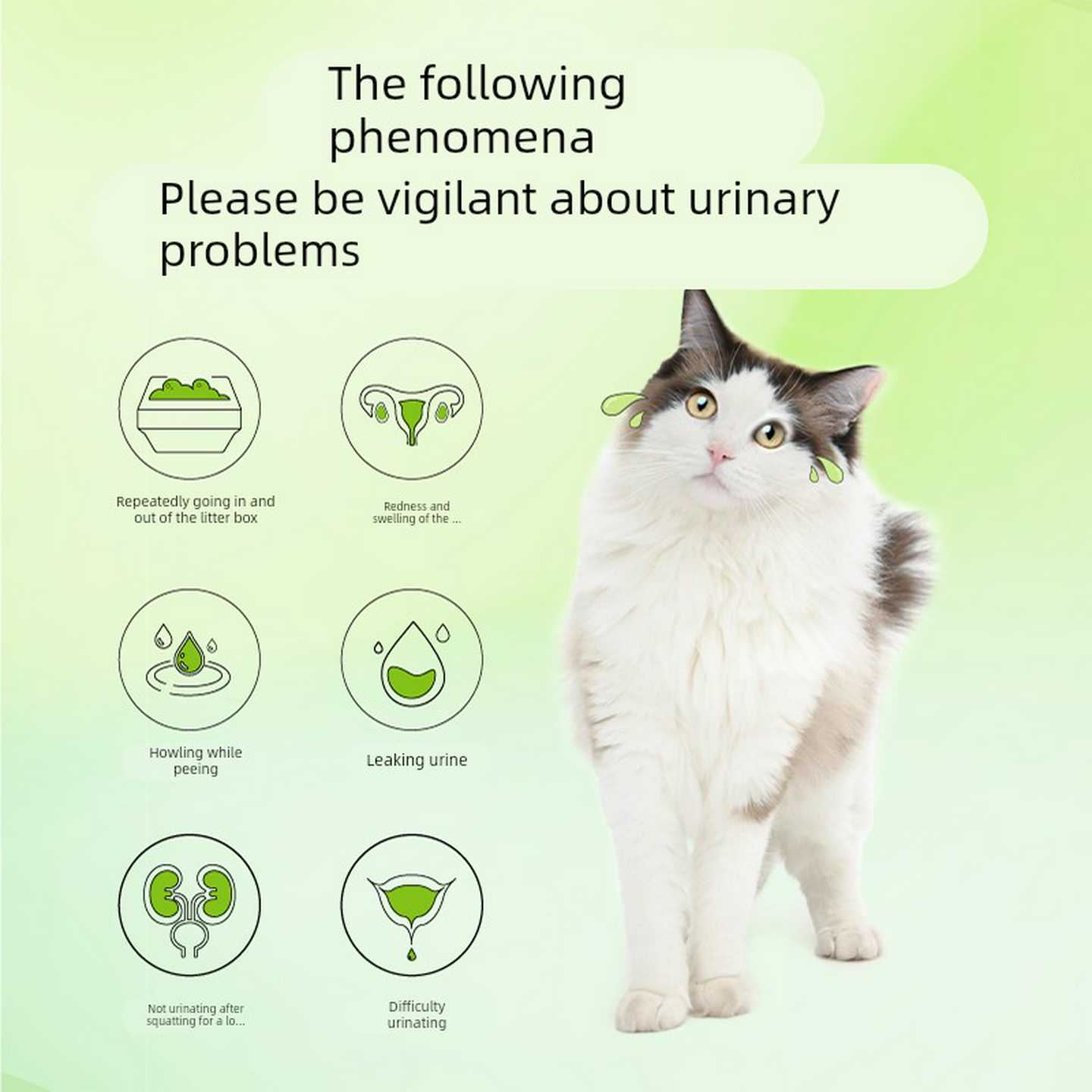 唯特医生猫粮泌尿呵护配方成幼猫饮水利尿猫粮尿频尿急尿闭处方粮