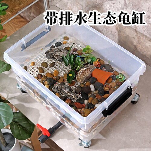 乌龟饲养箱可排水透明带盖生态草龟专用缸家用底滤鱼龟混养周转箱