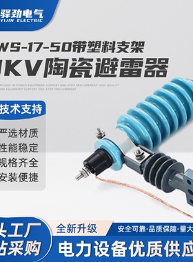 10KV陶瓷避雷器Y5WS-17-50蓝带塑料支架户外高压线路用免维护型