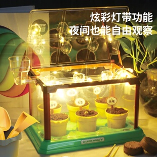 手工DIY种植玩具 阳光房种植儿童植物观察小学生科学实验套装