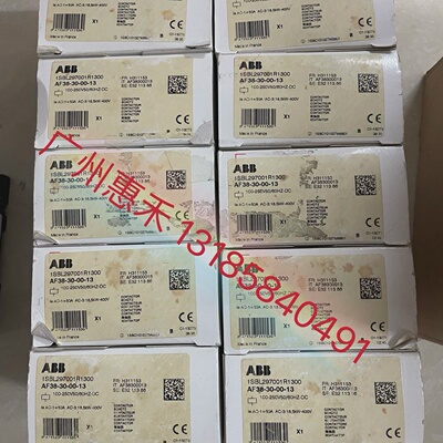 寻“”1SBL297001R1300