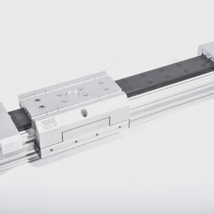 FESTO 161794 DCPL40250PPVAKFB  DCPL 40 250 PPV A KF B linear