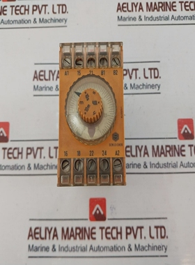 SCHLEICHERSZA521TimeRelay220V50/60HZ