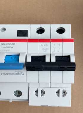 10174382ABBGSH202AC-C25/0.0