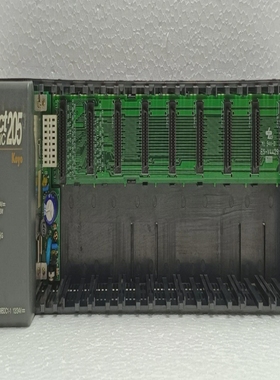 AutomationDirectDirectLOGIC205PLCBase-D2-09BDC1-1w/P