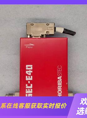 HORIBA 质量流量计 SEC-E40  SF6 50SC拍前询价下单