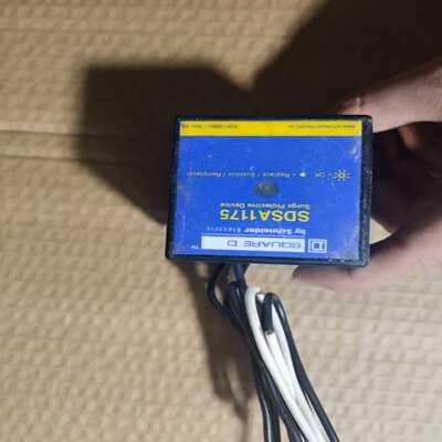 SDSA1175拍摄要私聊我下单