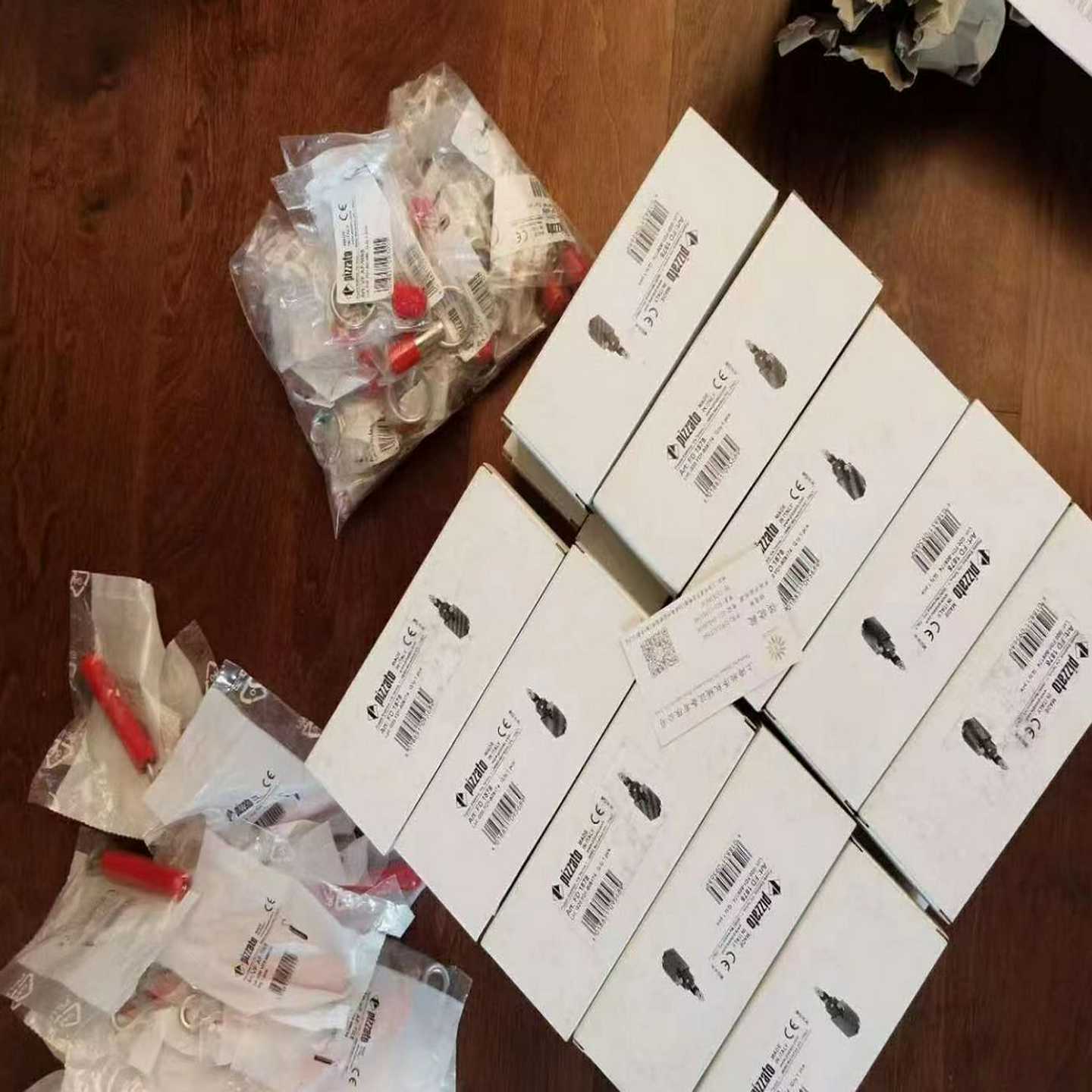 意大利pizzato皮扎托安全门锁FS3096wE024-M2