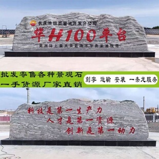 泰山大型景观石天然风景石户外庭院园林村牌大石头原石刻字门牌石