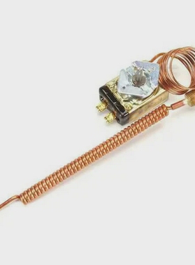 THERMOSTAT电动适用于GroenZ009730