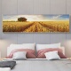 现代风景金色麦田风景挂画主卧室床头背景墙壁画横幅办公室装 饰画