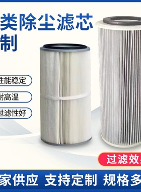 空气滤芯折叠式烟尘喷粉设备车间气体干燥除尘净化设备非标定制