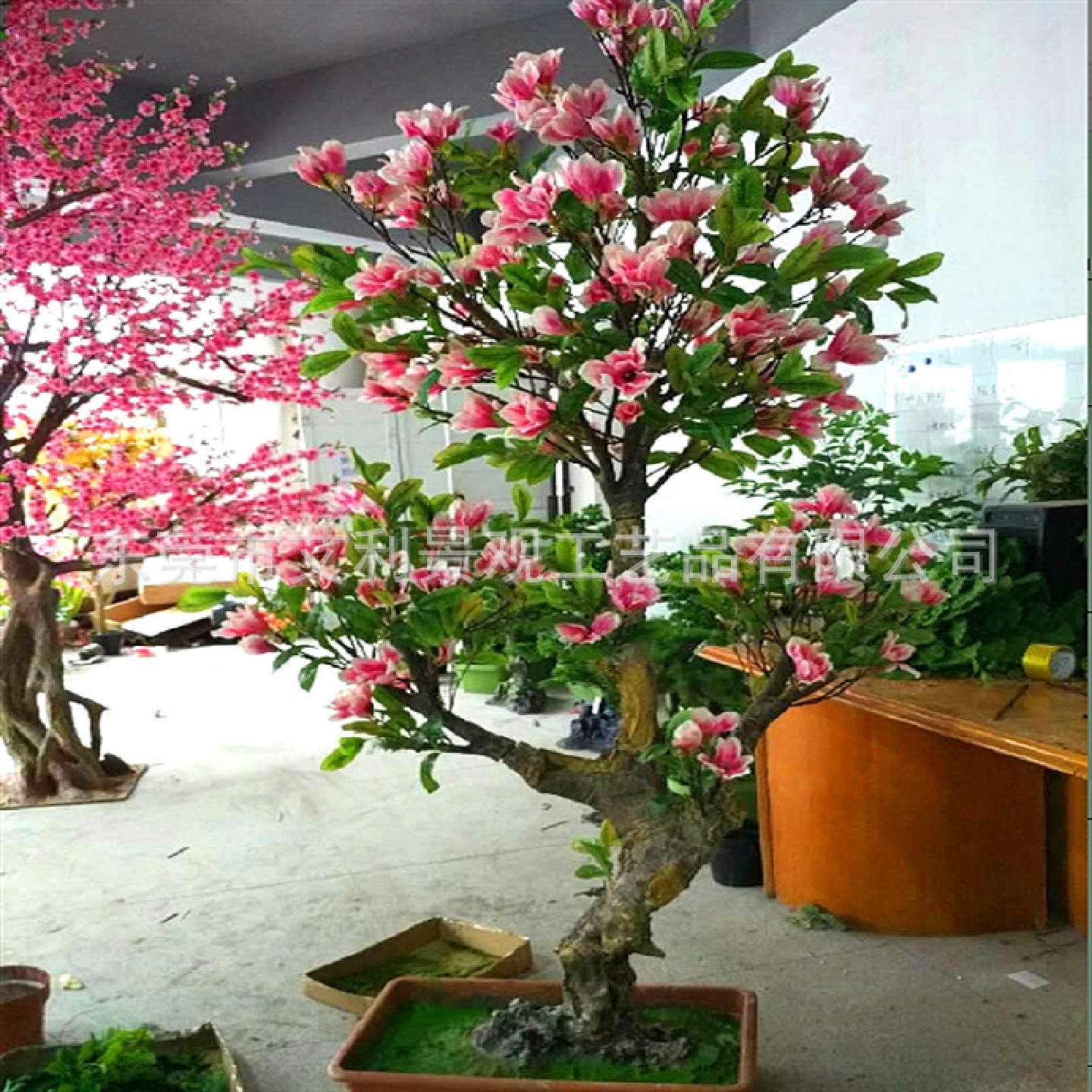 玉兰花植物家居装饰绿植花卉摆件花树假树假花盆栽批发