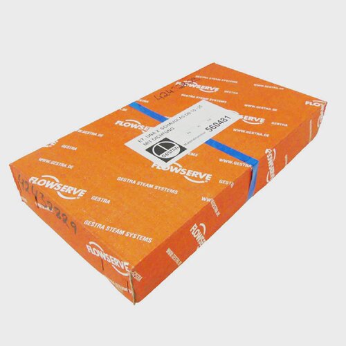GESTRA FLOWSERVE 560481 ET. UNA 2 SCHAUGLAS DN 1525 MIT DICH